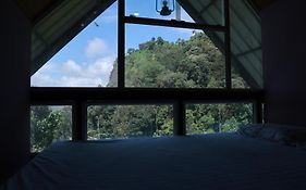 Nest In Mist Inn
